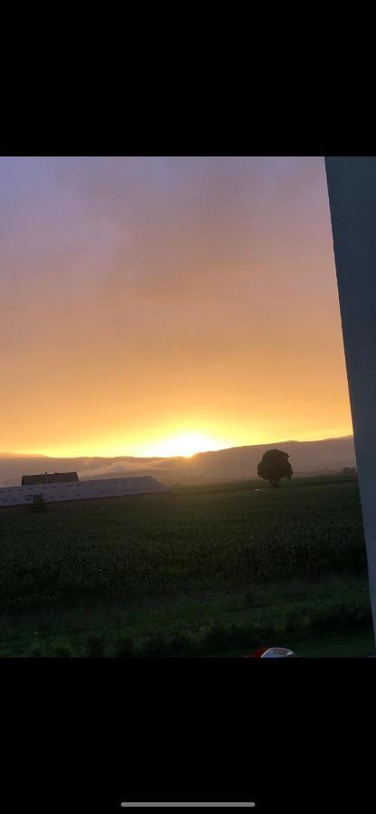 Gites Bretzel Et Cigogne Munwiller Exteriör bild